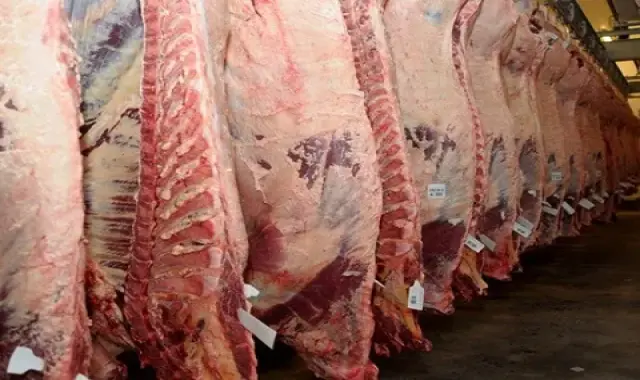 گوشت شترمرغ زنده؛ درمان بیماری قلبی عروقی حاوی ویتامین B6 B12