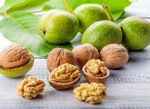 قیمت گردو تازه با پوست سبز