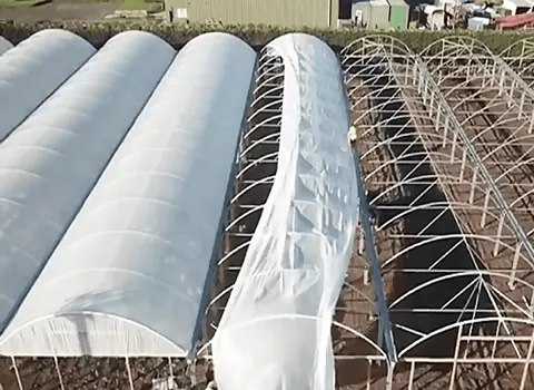 قیمت نایلون گلخانه یو وی + پخش تولیدی عمده کارخانه