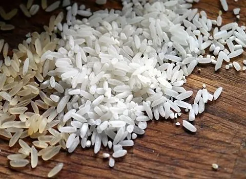آموزش خرید برنج چمپا درجه یک صفر تا صد