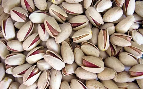 خرید و قیمت انواع پسته اکبری شور