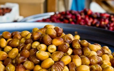 معرفی خرما خارک رسیده + بهترین قیمت خرید