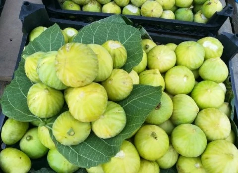 انجیر سفید تازه؛ بافت نرم شیرین حاوی آهن فیبر تقویت بدن