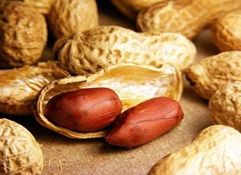 قیمت بادام زمینی خام با پوست