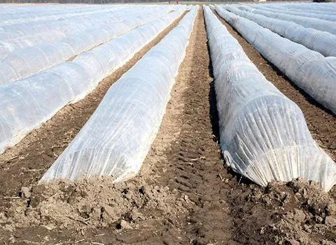نایلون کشاورزی یزد Agricultural nylon عایق حرارت سرما جنس پلاستیک