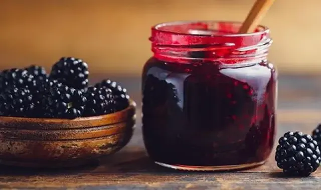 معرفی انواع کنسانتره شاه توت + قیمت خرید روز