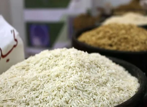 برنج ایرانی هاشمی اصل؛ دانه درشت کشیده سفید رنگ Rice