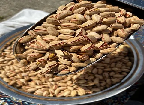 پسته اکبری خشک؛ آجیل ترد خام کلسیم بالا درمان سرفه بهبود اسهال Pistachio