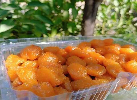 معرفی آلو بخارا خورشتی + بهترین قیمت خرید