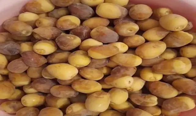 خرمای برهی؛ زرد طلایی بهبود دیابت بسته بندی کارتنی Iraq