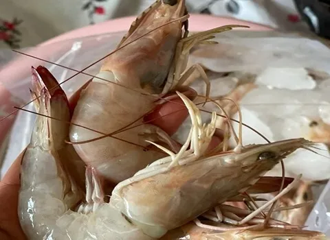 میگو تازه بوشهر؛ درشت فسفر آنتی اکسیدان 2 رنگ سفید صورتی