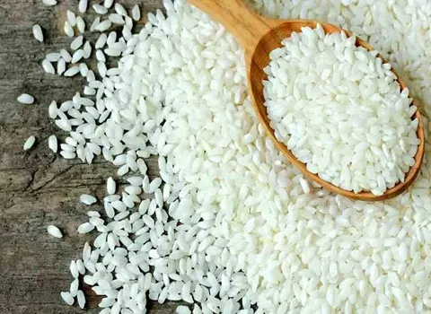 قیمت برنج چمپا شمال 