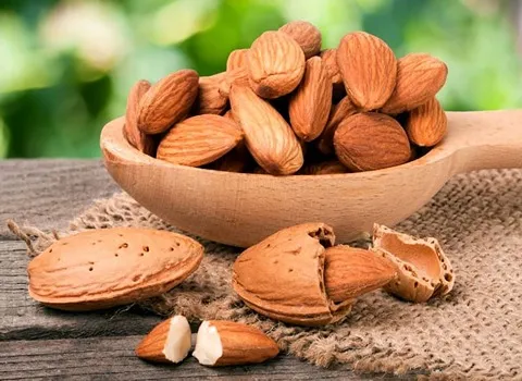 بادام درختی؛ سنگی کاغذی مامایی حاوی ریبوفلاوین فسفر (1 5 10) کیلوگرم