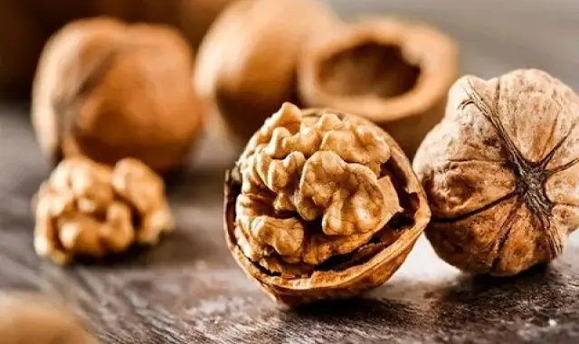 گردوی تویسرکان ممتاز؛ مغز سفید درشت حاوی آنتی اکسیدان Vitamin