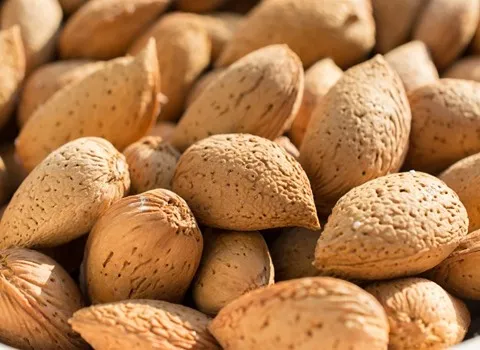 بادام درختی مامایی؛ سامان نجف آباد تقویت استخوان almonds