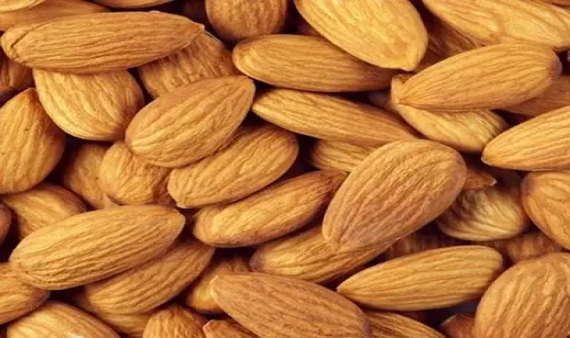 قیمت و خرید مغز بادام درختی خام + فروش ارزان