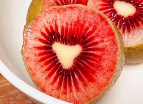 خرید انواع کیوی تو سرخ + قیمت