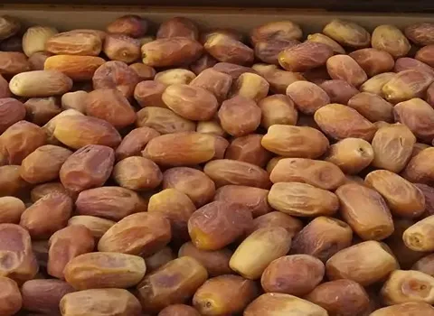 بهترین خرما زاهدی قصب + قیمت خرید عالی