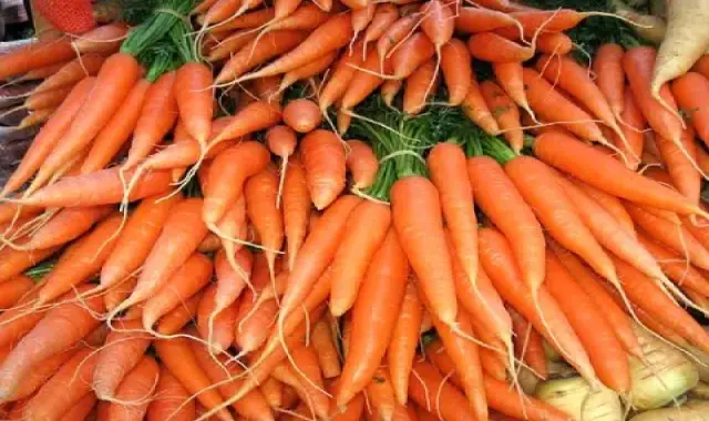 هویج صادراتی؛ نارنجی زرد شیرین پیشگیری سرطان حاوی پتاسیم