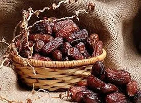 خرید خرمای صادراتی + قیمت عالی با کیفیت تضمینی