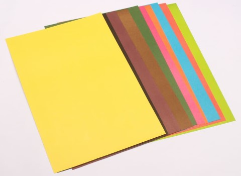 مقوا ایندربرد مشهد + بهترین قیمت خرید