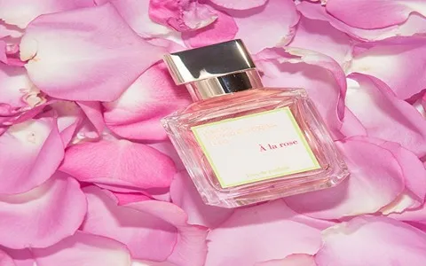 عطر غنچه گل محمدی