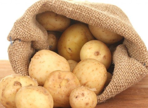 طبع سیب زمینی شیرین چیست؟