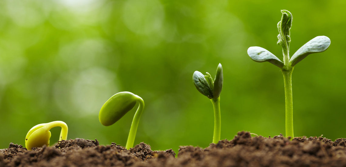 #تازه_واردها: بنگاه های تجاری را چقدر در رشد تجارت خودتان موثر می بینید؟