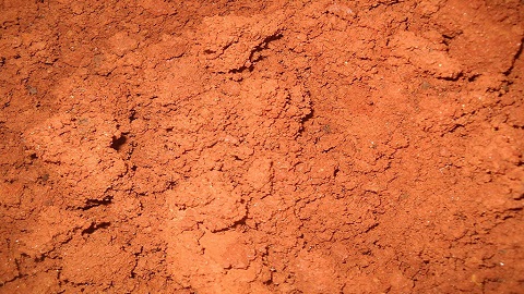 دانستنی های تجاری - ۲۵ شهریور