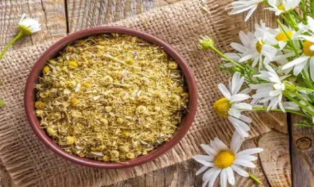 گل بابونه ایرانی؛ کیسه ای خشک شده تقویت سیستم ایمنی بدن درمان عفونت