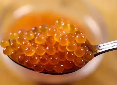خرید و قیمت انواع خاویار طلایی خزر
