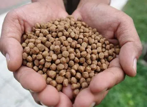 خوراک ماهی آمور + قیمت خرید، کاربرد، مصارف و خواص