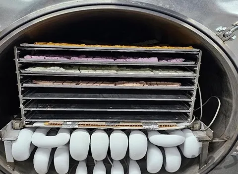 بهترین دستگاه بستنی خشک کن + قیمت خرید عالی