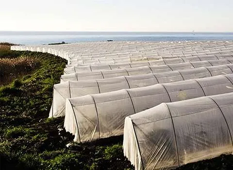 خرید و قیمت انواع نایلون گلخانه ای تهران