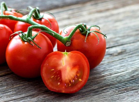 گوجه فرنگی امروز در میدان تره بار ارومیه؛ گیلاسی قرمز سبز حاوی ویتامین K