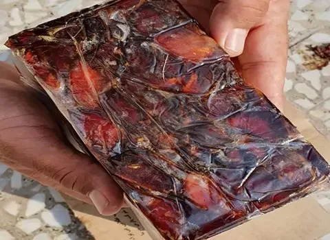 بهترین خرما دشتستان کبکاب + قیمت خرید عالی