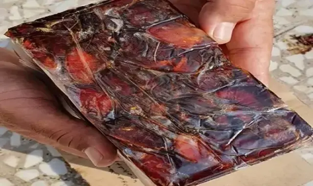 بهترین خرما دشتستان کبکاب + قیمت خرید عالی