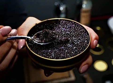 خرید خاویار درجه یک ایران + قیمت عالی با کیفیت تضمینی