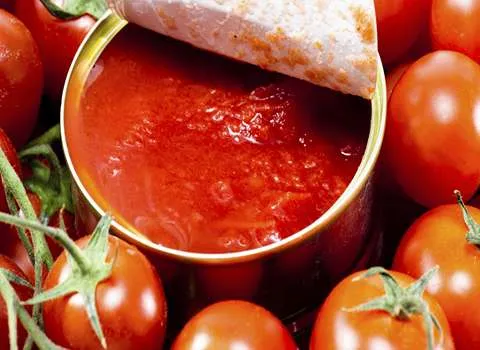 قیمت رب گوجه فرنگی هاربین + مشخصات بسته بندی عمده و ارزان