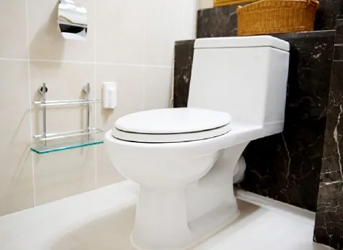 سرامیک توالت فرنگی؛ شفاف براق 2 سایز کوچک بزرگ مقاومت بالا