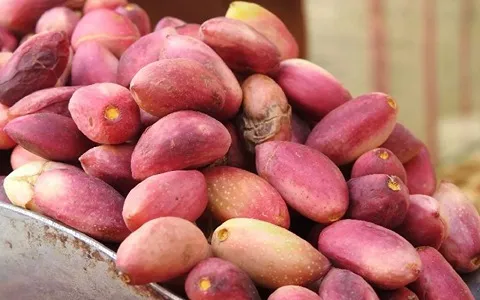 پسته تازه بوئین زهرا؛ بادامی خندان درمان کم خونی آسم Pistachio