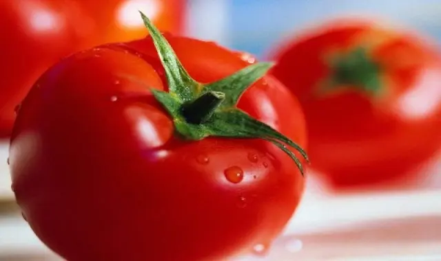 قیمت گوجه فرنگی در میدان تره بار شیراز