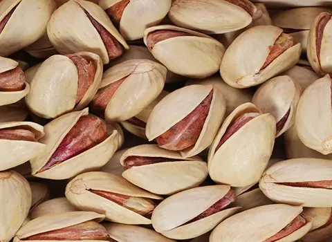 پسته اکبری به روز؛ بهداشتی خونساز فسفر تقویت حافظه Pistachio