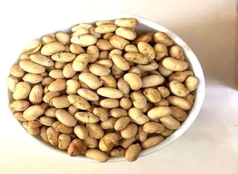 قیمت سویا آجیلی ترد  + مشخصات بسته بندی عمده و ارزان