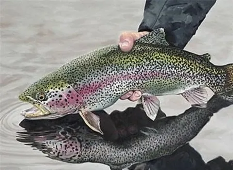 خرید و قیمت روز ماهی قزل آلا پرورشی