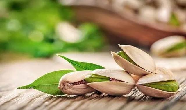 خرید انواع پسته اعلا ایرانی + قیمت