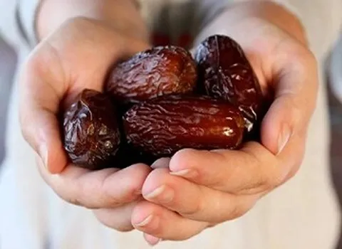 خرما مجول بشاگرد | فروشندگان قیمت مناسب خرما مجول بشاگرد