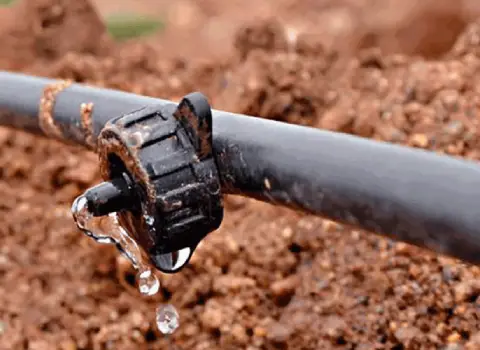 لوله آبیاری قطره ای سوراخ دار؛ سبک منعطف سایز (1 2) اینچ Polyethylene