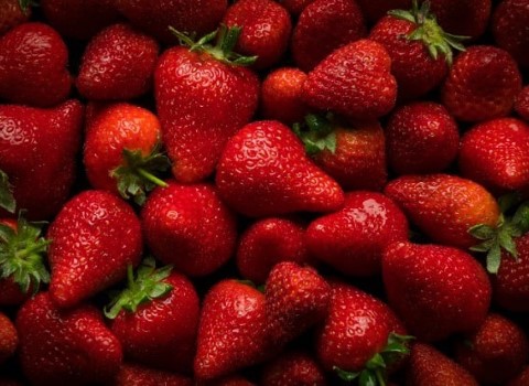 قیمت توت فرنگی در تهران