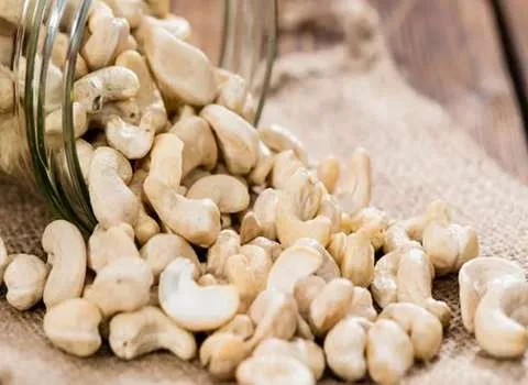 مشخصات بادام هندی ایرانی + قیمت خرید